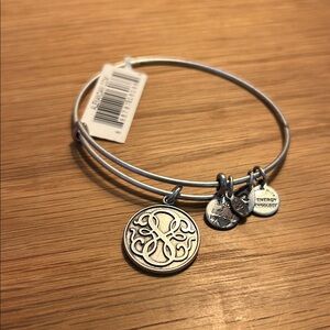 Alex and Ani Silver Charm Bracelet